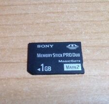 Sony memory stick usato  Italia