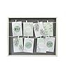 Accent nielsen collage usato  Italia