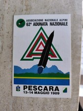 Cartolina adunata nazionale usato  Bagno a Ripoli