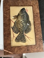 Realistic replica black for sale  Platte City