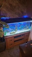 4ft fish tank for sale  ELLESMERE PORT