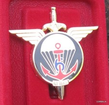 Insigne militaire arthus d'occasion  Dornecy