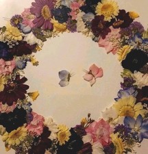 Vintage dried flower for sale  Stockbridge