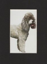 Miniature poodle custom for sale  Tampa