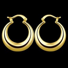 Circular hoop earrings for sale  LOCHGELLY