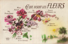 Disent fleurs rose d'occasion Disent fleurs rose d'occasion  Vasles