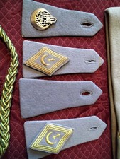 Insigne. 1er regiment d'occasion  Vichy
