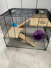 Glass bottomed hamster for sale  BIRMINGHAM