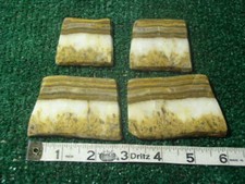 Scenic flame onyx for sale  Saint Petersburg