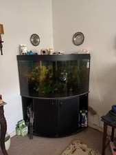 Aquarium eckaquarium unterschr gebraucht kaufen  Hamburg