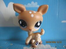 Petshop biche 1955 d'occasion  Bailleul