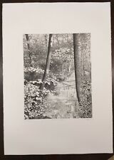 Agostino zaliani incisione usato  Mantova