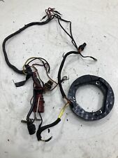 Statore evinrude 737 usato  Villasalto