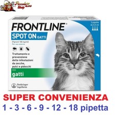 Frontline spot gatto usato  Manfredonia