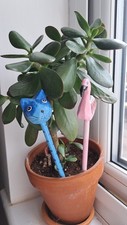 Wooden indoor plant for sale  NORWICH