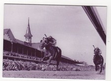 Secretariat wins 1973 for sale  Surprise