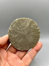3.3 perfect round for sale  Sparta