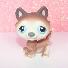 Authentic lps littlest d'occasion  Tours-