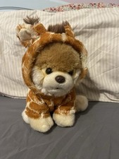 Boo cutest dog for sale  CARLISLE