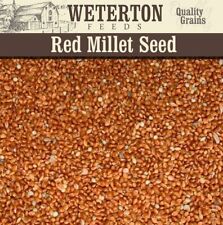 Red millet white for sale  STOCKTON-ON-TEES