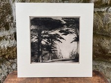 Cedars lebanon original for sale  CAMBORNE