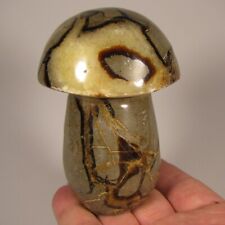 3.7 septarian mushroom for sale  Acworth