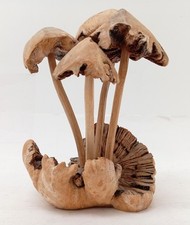 driftwood sculpture for sale driftwood sculpture for sale RUGBY