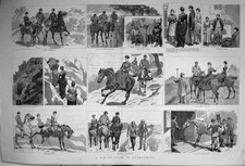 Old 1886 horse for sale  UK