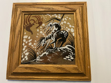 Framed native american for sale  Port Charlotte