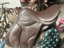 English jumping horse for sale  Jacksonville