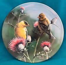 goldfinch for sale goldfinch for sale UK