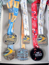 Lot médaille triathlon d'occasion  Bourges