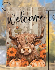 New cute scottish for sale  Dunedin