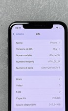 Apple iphone 256 usato  Sesto Fiorentino