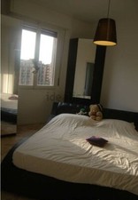 Svuoto casa causa usato  Milano