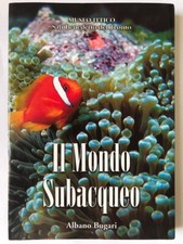 Subacqueo albano bugari usato  Italia