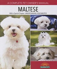 Używany, Maltese, Siino, Betsy na sprzedaż  Wysyłka do Poland