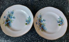 bluebell china for sale bluebell china for sale SWADLINCOTE