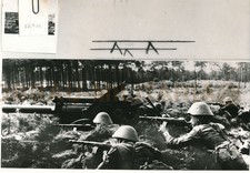 L192 negativo nva usato  Spedire a Italy