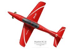 Print pilatus 101 usato  Spedire a Italy