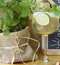 Minze mojito hugo gebraucht kaufen  Griesheim