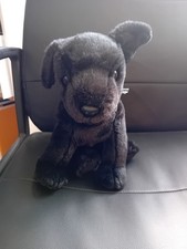 Luke beanie buddy for sale  HOLSWORTHY