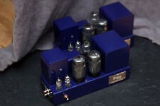 Amazing pair monoblock d'occasion  Expédié en Belgium