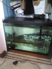 Gal aquarium starter for sale  Kalamazoo