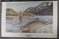 1991 arkansas trout for sale  Roseburg