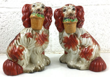 staffordshire spaniel dogs for sale  EXETER