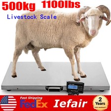 Digital vet livestock for sale  Chino