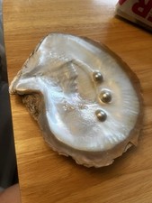 Vintage half seashell for sale  CHICHESTER
