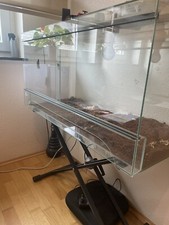 Glas terrarium 100x40x40 gebraucht kaufen  Dormagen