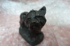 yorkie puppies for sale  BURNLEY